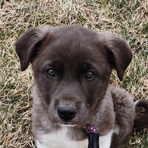 Meet your Posher, Elise